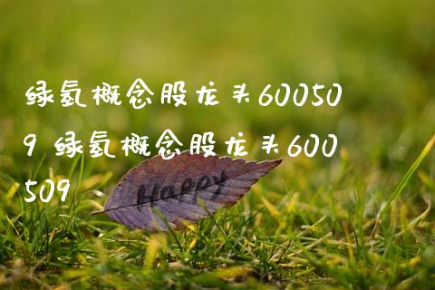 绿氢概念股龙头600509 绿氢概念股龙头600509