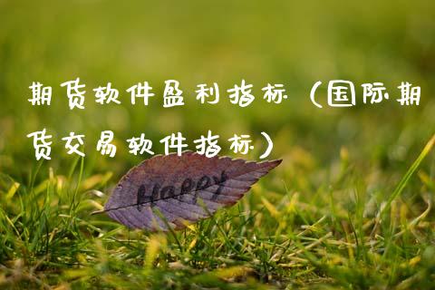 期货软件盈利指标（国际期货交易软件指标）