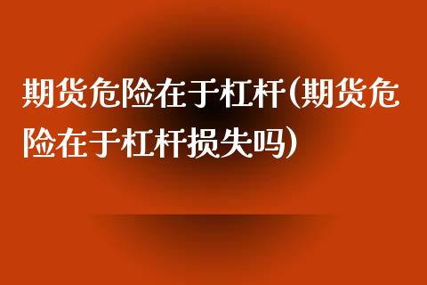 期货危险在于杠杆(期货危险在于杠杆损失吗)