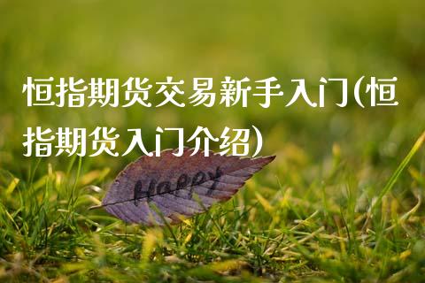 恒指期货交易新手入门(恒指期货入门介绍)