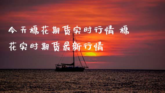 今天棉花期货实时行情 棉花实时期货最新行情