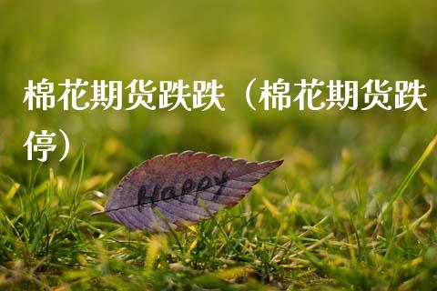 棉花期货跌跌（棉花期货跌停）