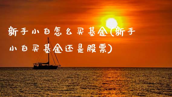 新手小白怎么买基金(新手小白买基金还是股票)