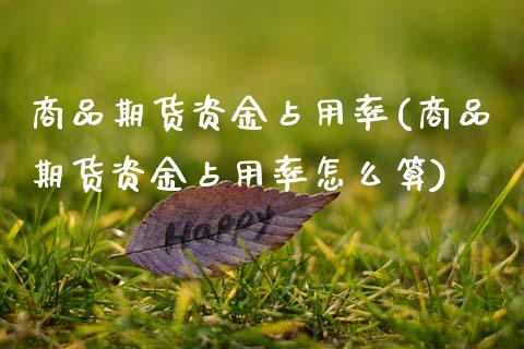 商品期货资金占用率(商品期货资金占用率怎么算)