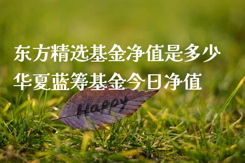 东方精选基金净值是多少 华夏蓝筹基金今日净值