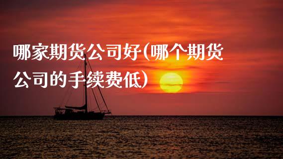 哪家期货公司好(哪个期货公司的手续费低)