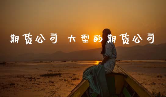 期货公司 大型的期货公司