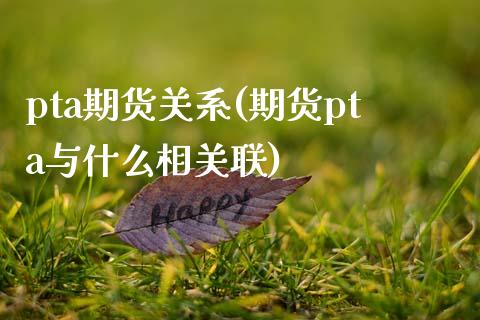 pta期货关系(期货pta与什么相关联)