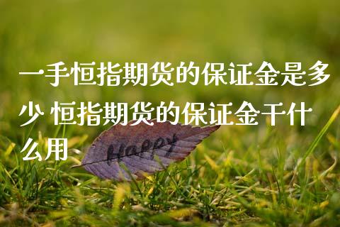 一手恒指期货的保证金是多少 恒指期货的保证金干什么用