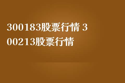 300183股票行情 300213股票行情