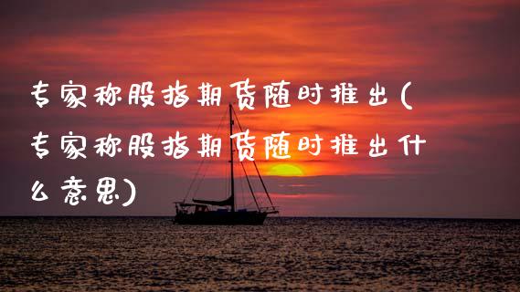 专家称股指期货随时推出(专家称股指期货随时推出什么意思)