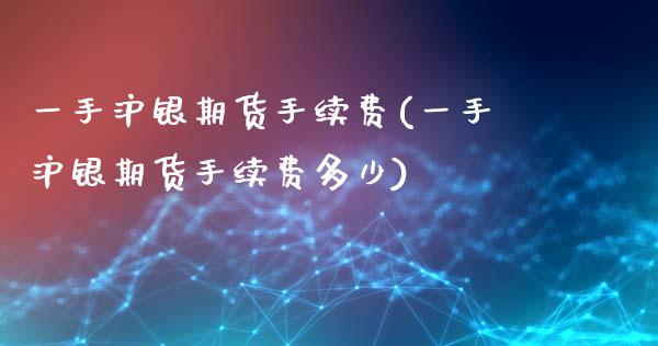 一手沪银期货手续费(一手沪银期货手续费多少)