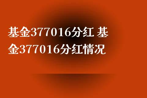 基金377016分红 基金377016分红情况