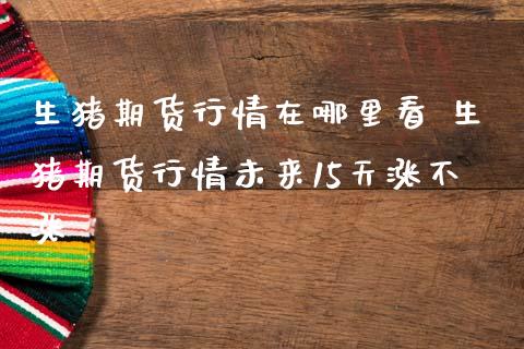 生猪期货行情在哪里看 生猪期货行情未来15天涨不涨