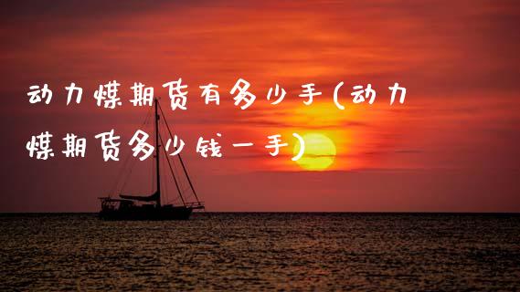 动力煤期货有多少手(动力煤期货多少钱一手)