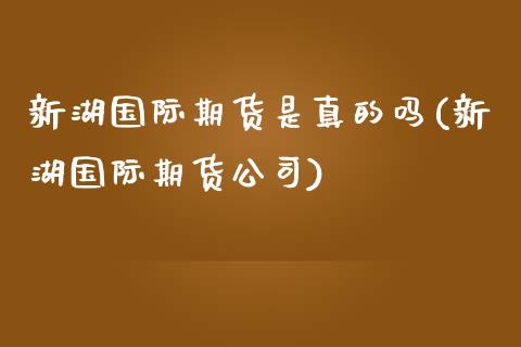 新湖国际期货是真的吗(新湖国际期货公司)_https://www.dglong8.com_期货理财_第1张