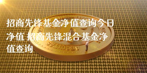 招商先锋基金净值查询今日净值 招商先锋混合基金净值查询