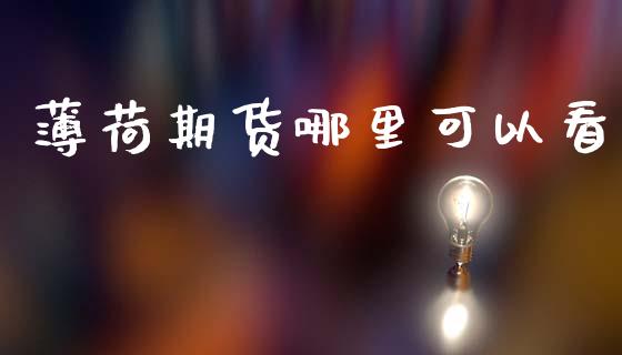 薄荷期货哪里可以看
