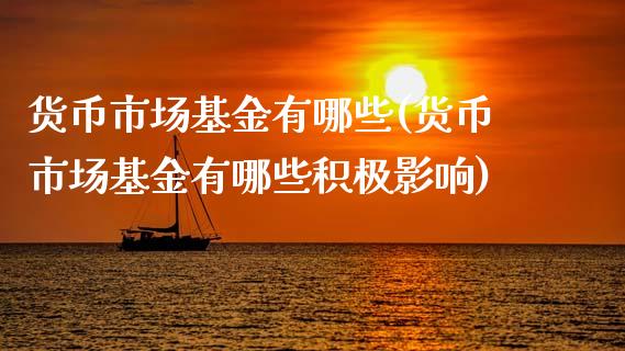 货币市场基金有哪些(货币市场基金有哪些积极影响)