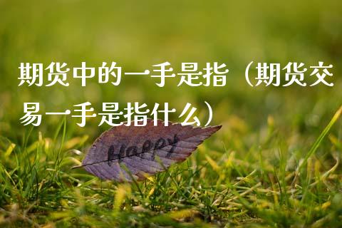 期货中的一手是指（期货交易一手是指什么）