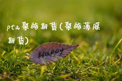 pta聚酯期货(聚酯薄膜期货)