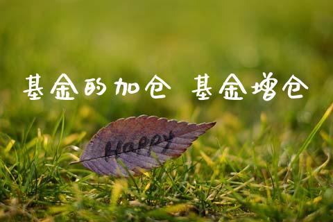 基金的加仓 基金增仓