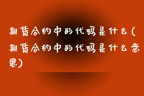 期货合约中的代码是什么(期货合约中的代码是什么意思)