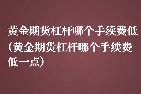 黄金期货杠杆哪个手续费低(黄金期货杠杆哪个手续费低一点)