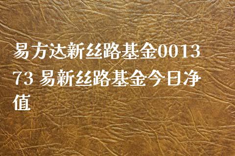 易方达新丝路基金001373 易新丝路基金今日净值