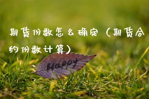 期货份数怎么确定（期货合约份数计算）