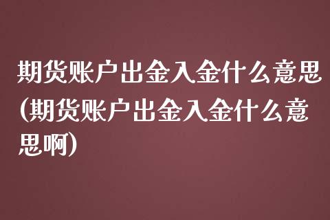 期货账户出金入金什么意思(期货账户出金入金什么意思啊)