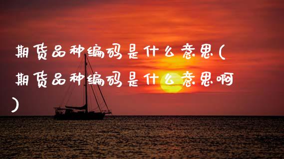 期货品种编码是什么意思(期货品种编码是什么意思啊)