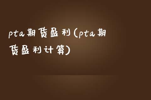 pta期货盈利(pta期货盈利计算)
