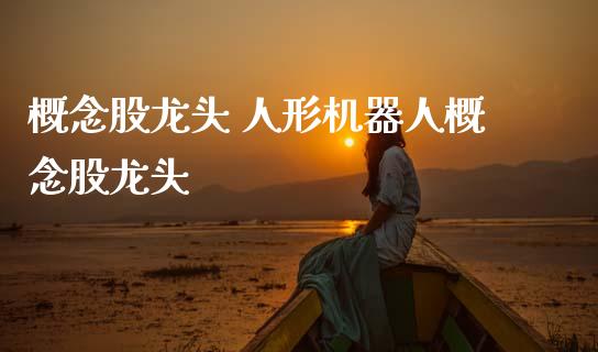 概念股龙头 人形机器人概念股龙头