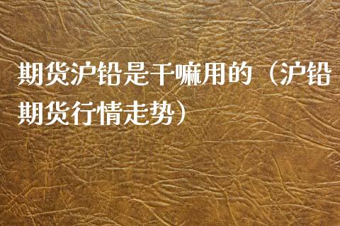 期货沪铅是用的（沪铅期货行情走势）