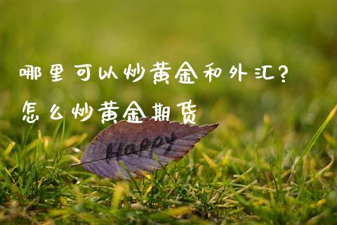 哪里可以炒黄金和外汇? 怎么炒黄金期货