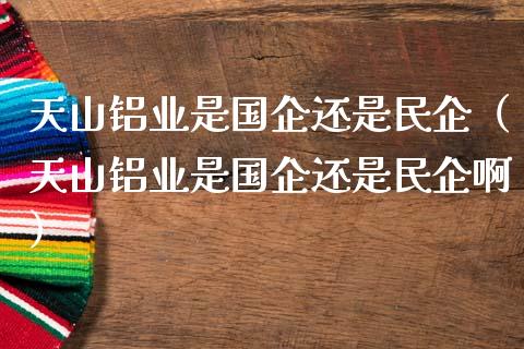 天山铝业是国企还是民企（天山铝业是国企还是民企啊）