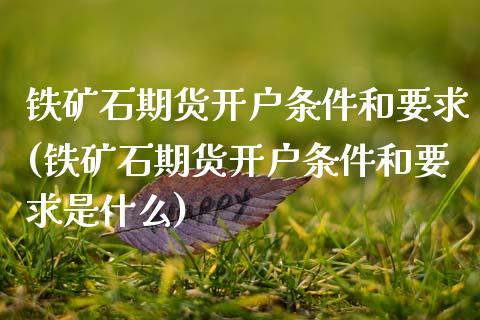 铁矿石期货开户条件和要求(铁矿石期货开户条件和要求是什么)