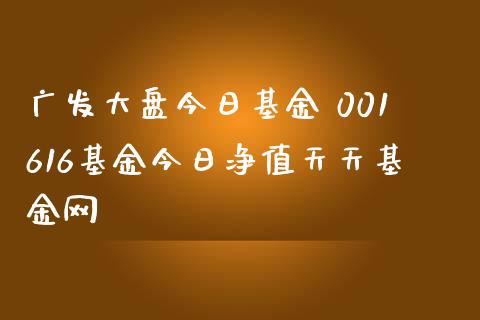 广发大盘今日基金 001616基金今日净值天天基金网_https://www.dglong8.com_基金理财_第1张