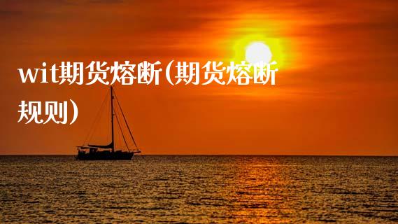 wit期货熔断(期货熔断规则)