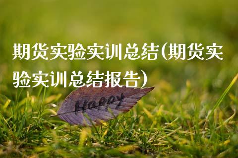 期货实验实训总结(期货实验实训总结报告)