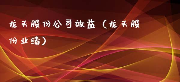 龙头股份公司效益（龙头股份业绩）