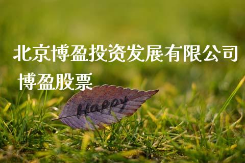 博盈投资发展有限公司 博盈股票