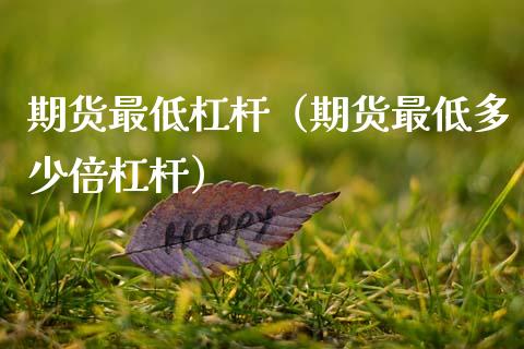 期货最低杠杆（期货最低多少倍杠杆）