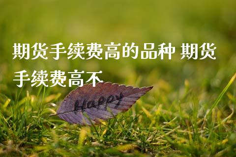 期货手续费高的品种 期货手续费高不