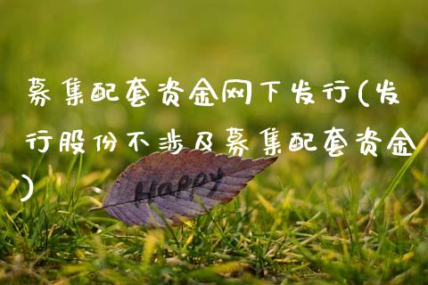 募集配套资金网下发行(发行股份不涉及募集配套资金)