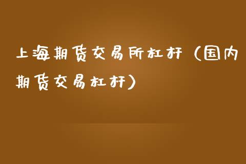 上海期货交易所杠杆（国内期货交易杠杆）