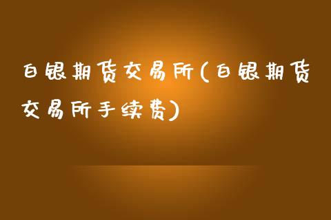白银期货交易所(白银期货交易所手续费)