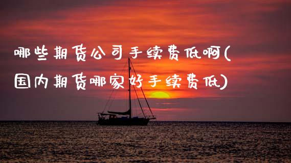 哪些期货公司手续费低啊(国内期货哪家好手续费低)