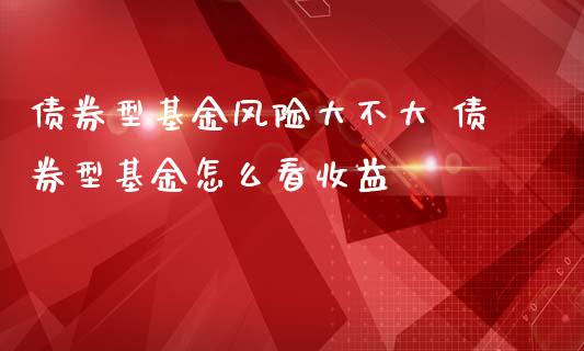 债券型基金风险大不大 债券型基金怎么看收益